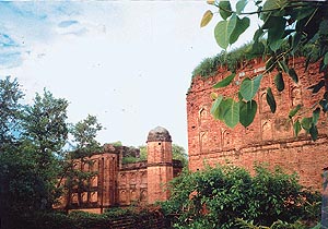 Ruins of Sheesh Mahal in Gudha village