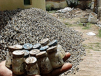 Patna: Expired medicines dugged out of Public Health Institute is feared to become public hazard because it is laying open on the ground