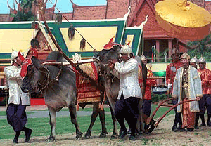 Cambodian Prince Sisowath Chivonarith, right, holds a handle of a plough during the annual Plowing Ceremony in Phnom Penh on Sunday