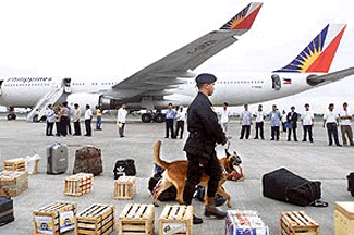 A special operations security officer takes a sniffer dog through the luggage of passengers in front of the hijacked Philippines Airlines plane at Manila airport on Thursday. A man aboard Flight PR812 brandished a handgun and a grenade before taking passangers money and parachuting out of the plane. The plane later landed safely and all passengers left the plane