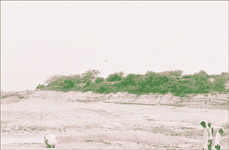 The partly vandalised mound at Bhor Shyam village in Karnal district