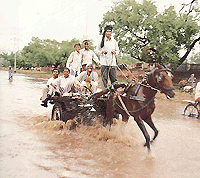 Men welcome the rain with smile in Chandigarh on Sunday