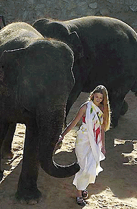    JERUSALEM : A model wearing a painting done on cloth by an Asian elephant walks alongside the artists during a painting exhibit  given by the Asian Elephants at the Jerusalem City Zoo in Jerusalem on Sunday. The work of the three Asian elephants is to be auctioned at Sotheby's Art Gallery, proceeds from the auction will go to an Elephant Conservation Program. AP/PTI
