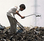 Deepak, a 11-year-old boy, scavenges for plastic throw-aways from a garbage dump in New Delhi  to supplement his family's income while the world celebrates Environment Day on Monday. � AFP photo 