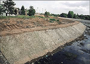 A pocket of land along the Leisure Valley choe which has been identified for afforestation by PUDA in SAS Nagar