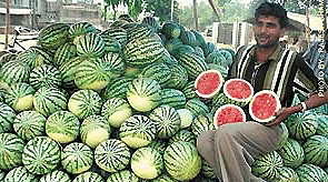 A dream come true for Ludhianvis