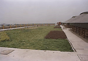 The roof top of multi-storeyed parking complex has been done up with thick grass lawns.