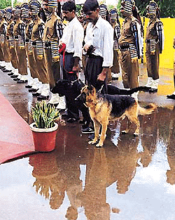 All wet at the guard of honour ceromony for Mr Yashvant malhotra, inspector-general, north sector, cisf, on the takeover of the security of Chandigarh civil aerodrome on Thursday by the cisf.@@                                               � tribune photo by pradeep tewari