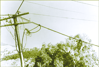 A distribution point (DP) in Shamshi Industrial Area in Bhunter Sub-Division. Most of the DPs in the sub-division are in this condition