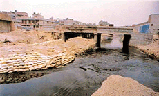 Sand bags have been placed on the banks of the Budha Nullah in Ludhiana to prevent erosion and overflow. � Photo by Inderjeet Verma�