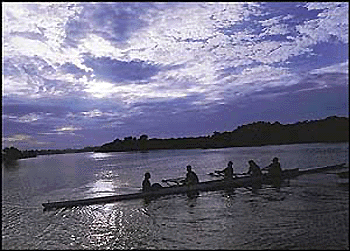 Members of the Chandigarh rowing team preparing for the Asian Junior Rowing Championship to be held in the city in December � Tribune photo by Pankaj Sharma