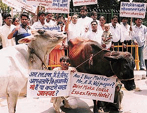 Activists of the National Human Rights Council demonstrate outside Parliament in New Delhi on Sunday to protest the government�s move to allow imports of beef. � Reuters