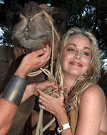 Actress Sharon Stone poses with a camel as she arrives at an Egyptian-themed fund raiser for her charity, Planet Hope, on Monday at Woodland Hills, California. Stone, along with sister Kelly, founded the charity to change the plight of homeless children through arts programmes, summer camps, and computer skills training