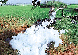 Tubewells, along the Sukhna choe, near Dera Bassi, are spewing white froth and a foul smell, a clear indication of pollution. �