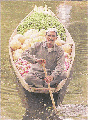 A Kashmiri vegetable seller rows his boat carrying goods for sale at floating market on Dal Lake, main tourists attraction in Srinagar, the summer capital of Jammu and Kashmir state in northern India on Thursday. The floating market supplies vegetables mainly to people living in the city