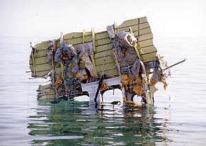BAHRAIN : Part of the fuselage of a Gulf Air Airbus A320 lies in shallow waters Thursday, August 24, 2000 after it crashed into the Gulf off Bahrain late Wednesday, August 23, 2000. Authorities had recovered most of the bodies of the 143 people onboard by early  on Thursday
