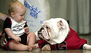 Nine-month old Chace Pugh of Carlton, Ga, stares at UGA VI, the Georgia macot, while having their picture taken at the annual Georgia Picture Day in Stegeman Colisuem in Athens on Saturday � AP