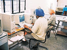Postal employees at head office in Ludhiana feed information in computers.