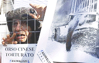 A member of PETA (People for the Ethical Treatment of Animals), wearing a fake bear fur, sits inside a wire cage during a protest in Rome on Tuesday