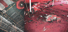 The remains of the ceiling of a tent which was damaged in a fire in Ludhiana on Saturday. � Photo by Rajesh Bhambi
