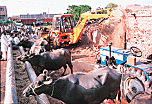 A bulldozer razes an unauthorised structure in Madalpur village in Sector 15 of Panchkula.