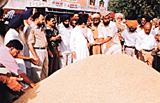 Mr S.K. Sandhu, Deputy Commissioner, and SAD leader Jagdev Singh Talwandi visit the mandis in Raikot area in Ludhiana district to supervise the paddy procurement.