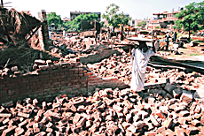 A villager of Madalpur in Sector 15, Panchkula.