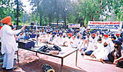 A view of the dharna organised by eight political parties and farmers' organisations in Ludhiana on Saturday against poor purchase of paddy.