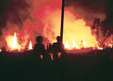 Heaps of cowdung and wild grass set on fire allegedly by miscreants who attacked residents of Khanpur village, near Kharar, on Monday evening.