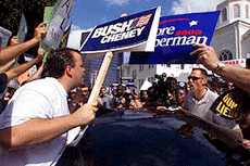 Protesters gather to voice their opinion on a re-vote for Palm Beach County. 