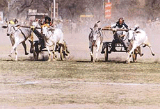 PFA statement creates row