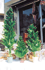A Christmas tree at a store in Ludhiana.