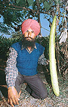 Bartana-based farmer