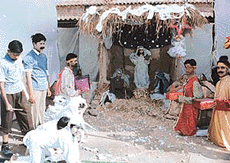 A crib set up at Mount Carmel School, Sector 47, Chandigarh to mark the start of Christmas celebrations on Thursday. 
