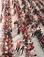 Devotees at a community kitchen in the Sector 34 gurdwara, Chandigarh, on the occasion of Gurpurb on Tuesday. 