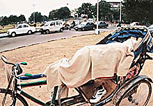 A rickshaw-puller enjoys his siesta as sun peeps from clouds on Sunday in Chandigarh.