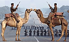 BSF troops mounted on camels position themselves outside Rashtrapati Bhavan during the rehearsal of �Beating the Retreat� ceremony in New Delhi on Saturday.