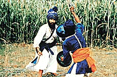 Art of the Warriors on NSC: Thrilling, indeed.