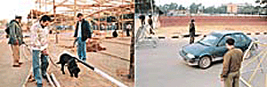Security checks inside (left) outside the Sector 17 Parade Ground, Chandigarh.