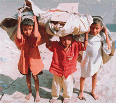 India has the highest number of child workers in the world