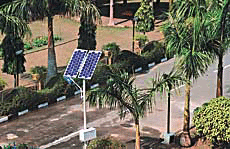 The future of mankind is inextricably linked to that of trees 