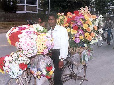 photo by Pravesh Chauhan