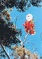 Spring and celebrations in the air. 