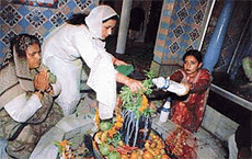Devotees offer prayers to Lord Shiva on the occasion of Shivaratri in Ludhiana on Wednesday. 
