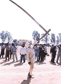 Kila Raipur rural sports festival.