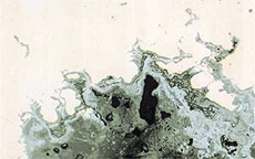 A photomicrograph of a section of metal taken from a bronze sculpture