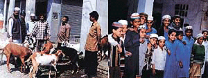 Goats on sale in Ludhiana on the eve of Id and (right) children form a group while donning traditional Muslim caps.