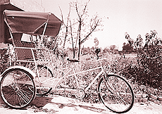 Cycle-rickshaw