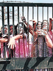 Revellers of Government Home Science College, Chandigarh, try to reach out to passers-by.�