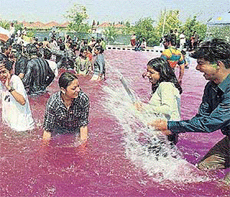 Holi dip at Fun City near Chandigarh. A Tribune photographs.